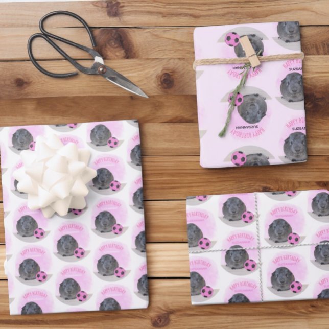 Girly Child Birthday Guinea Pig Pink Soccer Ball Wrapping Paper Sheet (Creator Uploaded)