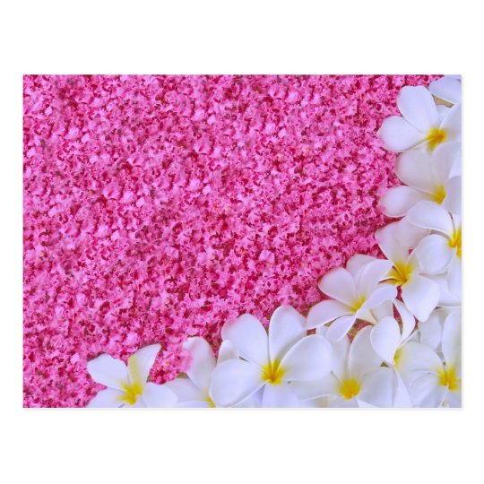 Girly floral roses pink white petals chic collage postcard