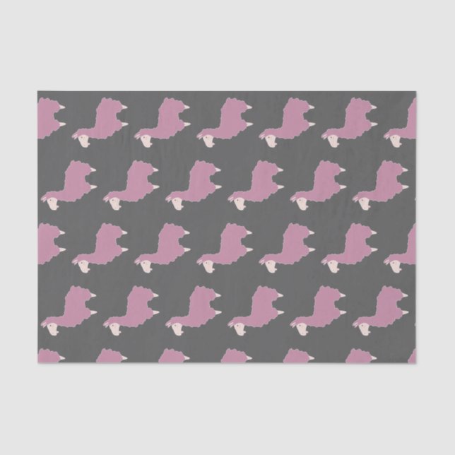 Girly Pink Fluffy Llamas & Grey Tissue Paper (Front)