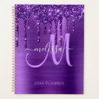 Girly Purple Glitter Brushed Metal 2024