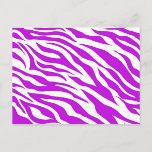 Girly Purple White Zebra Stripes Wild Animal Print Postcard