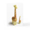 Girrafe And baby Giraffe