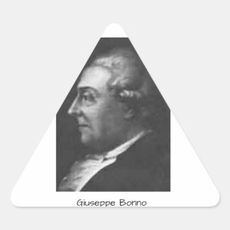 Giuseppe Bonno Triangle Sticker