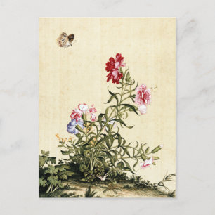 Giuseppe Castiglione - Carnation Fine Art Postcard