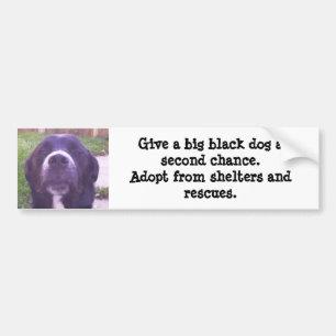 Give a big black dog a second chance... bumper sticker