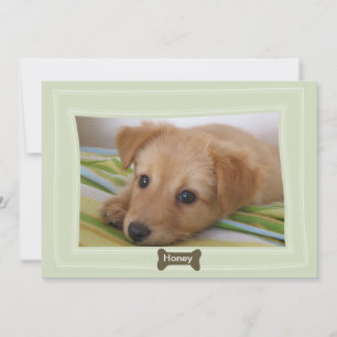 Give a Dog a Bone Photo Pet Announcement