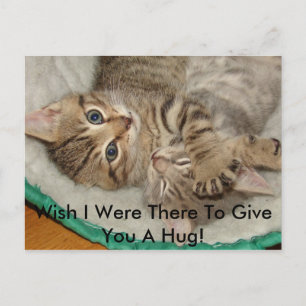 Give A Hug Kitty Postcard
