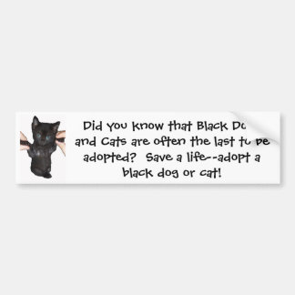 Give Black Pets a Chance! Bumper Sticker
