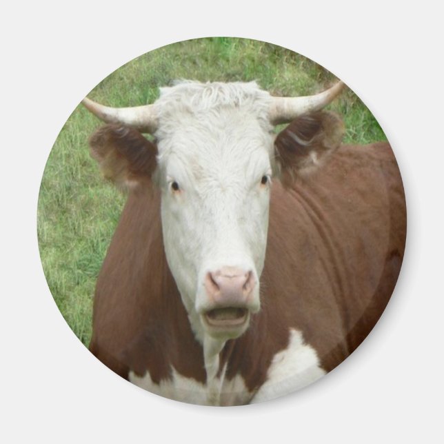 Give 'Em the Bird For Thanksgiving Magnet (Front)