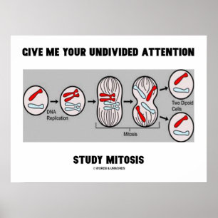 Give Me Your Undivided Attention Study Mitosis Poster