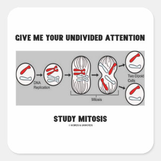 Give Me Your Undivided Attention Study Mitosis Square Sticker