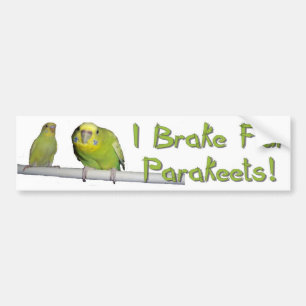 Give Parakeets A Brake Bumper Sticker
