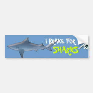 Give Sharks A Break Bumper Sticker