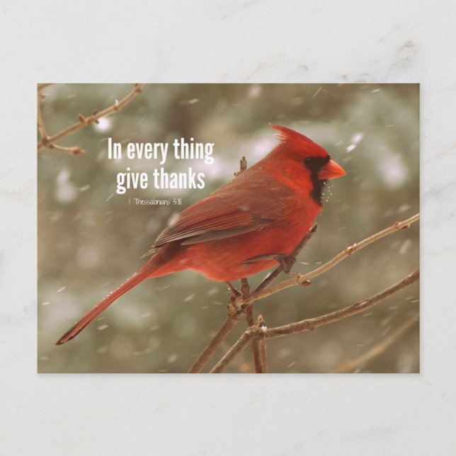 Give Thanks Bible Verse Postcard (Front)