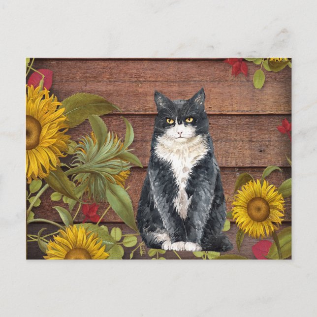 Give Thanks Cat and Sunflowers on Wood Autumn Holiday Postcard (Front)