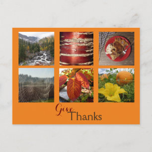 Give Thanks (Fall Collage) Postcard