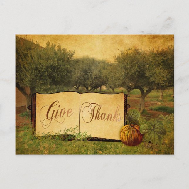 Give Thanks for Thanksgiving Holiday Postcard (Front)