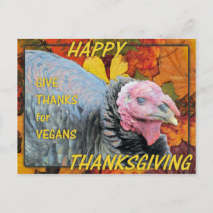 Give Thanks for Vegans Holiday Postcard