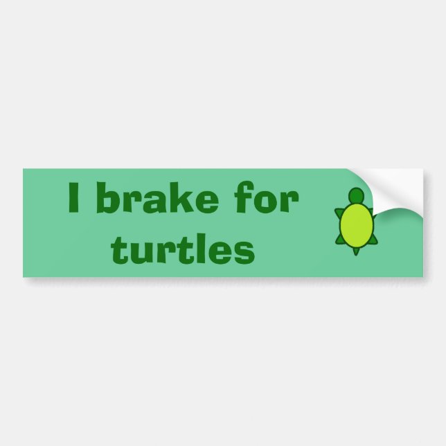 Give turtles a brake! bumper sticker (Front)