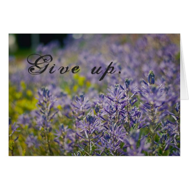 Give Up (Front Horizontal)