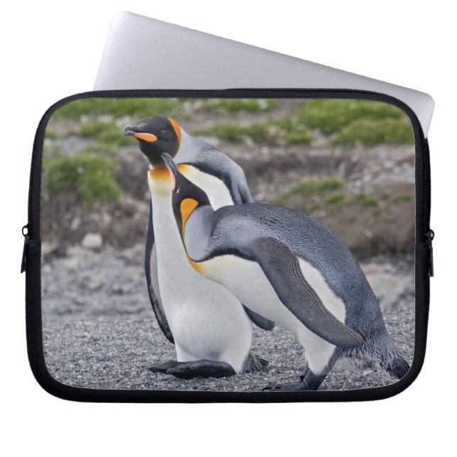 Give us a Kiss! Laptop Sleeve (Front)