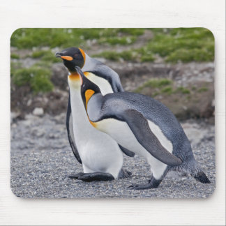 Give us a Kiss! Mousepad