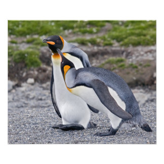 Give us a Kiss! Print
