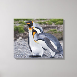 Give us a Kiss! Wrapped Canvas