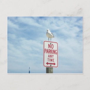 Giving The No Parking Sign The Bird Postcard