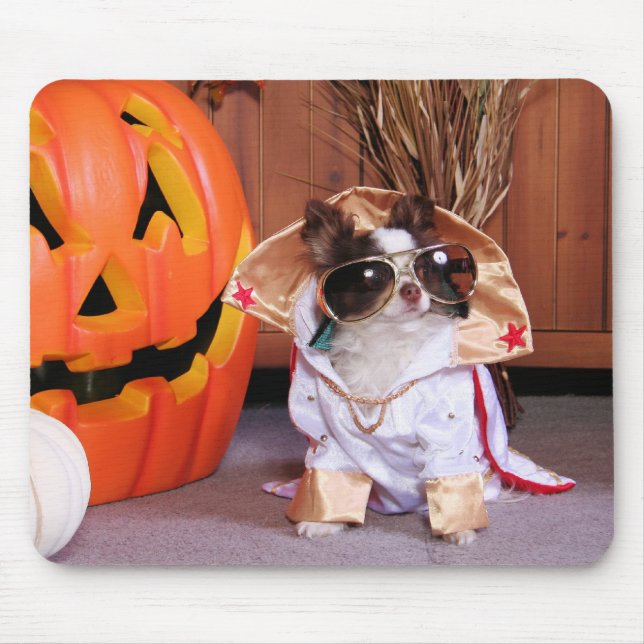 Gizmo - Chihuahua - Thomas Mouse Mat (Front)