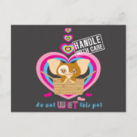 Gizmo | Do Not Wet This Pet