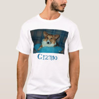 Gizmo