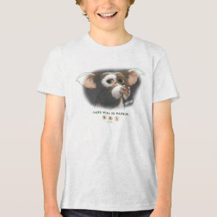 Gizmo There Will Be Mayhem Tri-Blend Shirt
