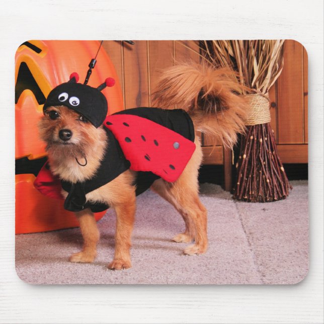 Gizzy - YorkiePom - Burbridge Mouse Mat (Front)