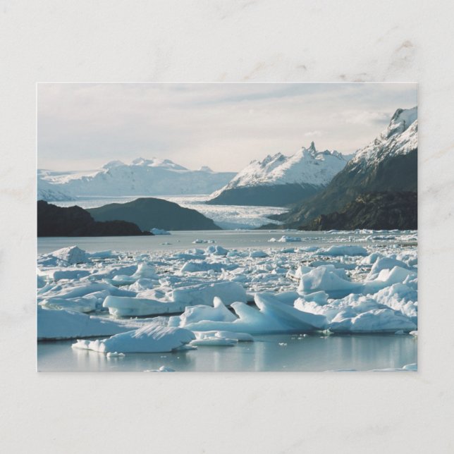 Glacial Icebergs Postcard (Front)