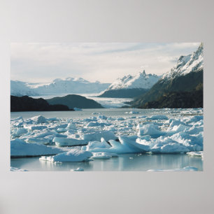 Glacial Icebergs Poster