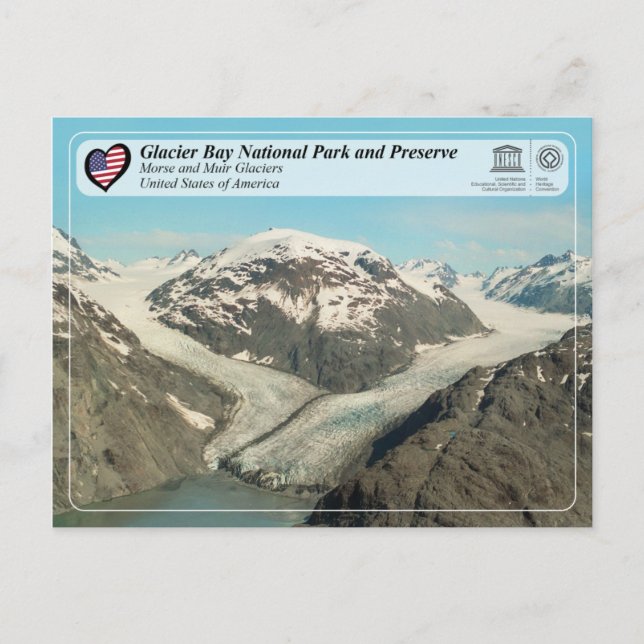 Glacier Bay National Park - Morse and Muir Glacier Postcard (Front)