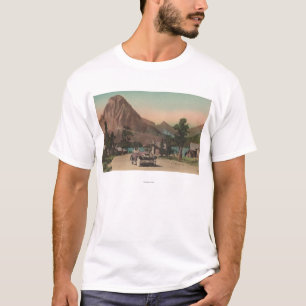 Glacier, MT - View of Two Chalets & Mt. Rockwell T-Shirt