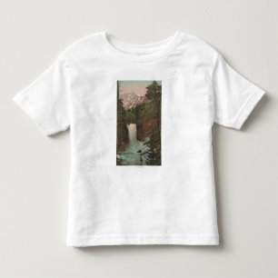 Glacier, MTView of Trick Falls Glacier, MT Toddler T-Shirt