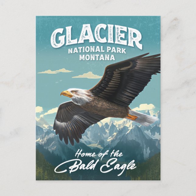 Glacier National Park Bald Eagle Postcard (Front)