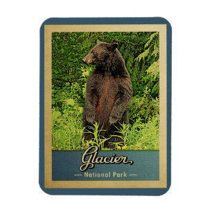 Glacier National Park Bear Vintage Travel Magnet