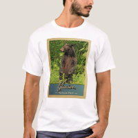 Glacier National Park Bear Vintage Travel