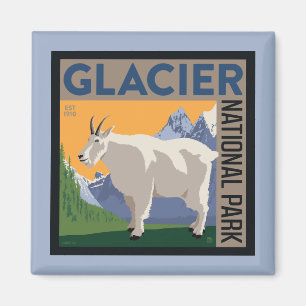 Glacier National Park   Goat Magnet