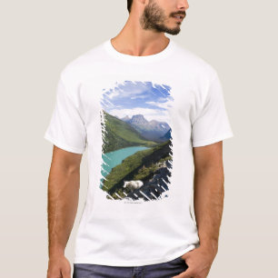 Glacier National Park, Montana T-Shirt