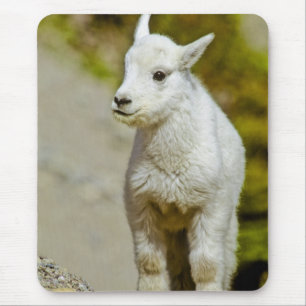 Glacier National Park, Montana, USA, Mountain Mouse Mat