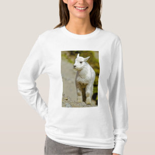 Glacier National Park, Montana, USA, Mountain T-Shirt