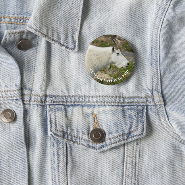Glacier National Park Mountain Goat Photo 6 Cm Round Badge (In Situ)