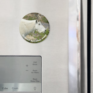 Glacier National Park Mountain Goat Photo Magnet