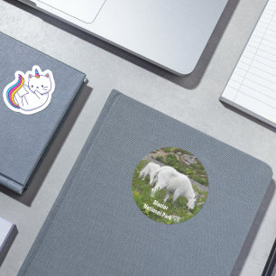 Glacier National Park Mountain Goats Photo Classic Round Sticker