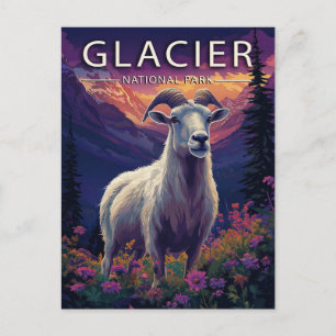 Glacier National Park  Postcard